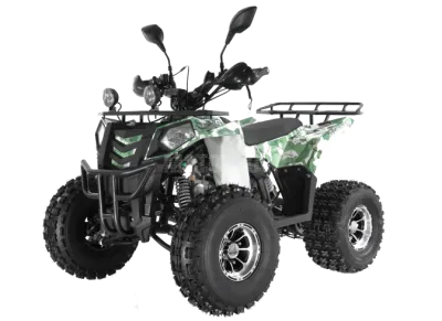 Квадроцикл детский Wels (Велс) Thunder EVO X 125 (машинокомплект)