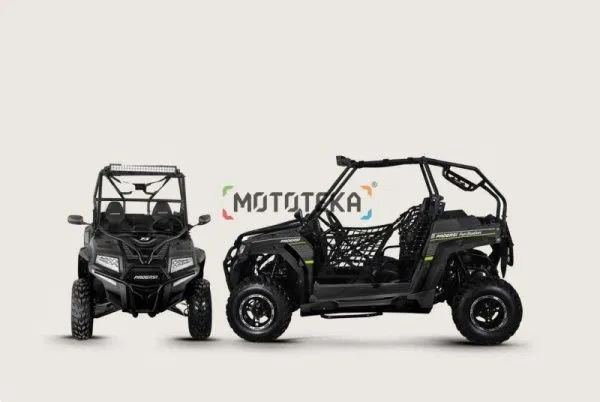 Багги Progasi (Прогаси) FunStation Black satin (машинокомплект) | Мототека